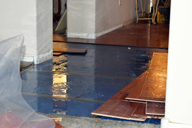 Professional Sewage Cleanup technician working in West Newton, MA